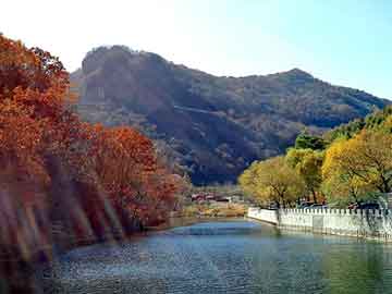 澳门天天免费精准大全，天涯台湾